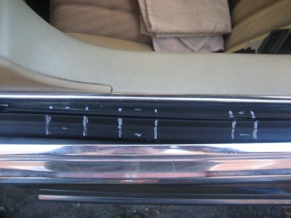 pic7.JPG