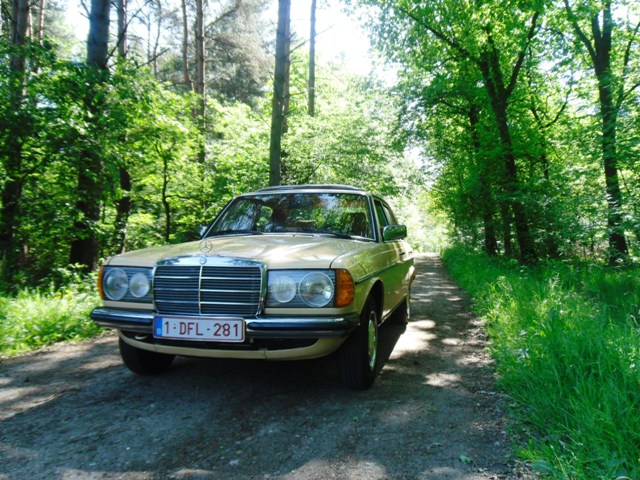 benz 008.JPG