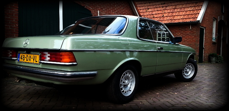 w123coupe1 (800x388).jpg