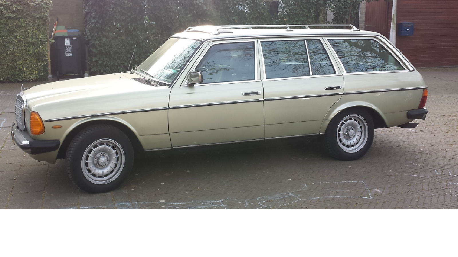 W123.png
