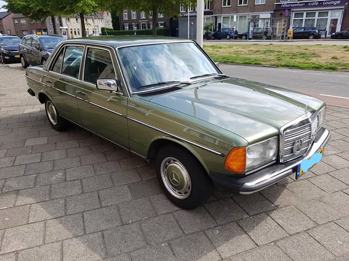 mercedes 1.jpg