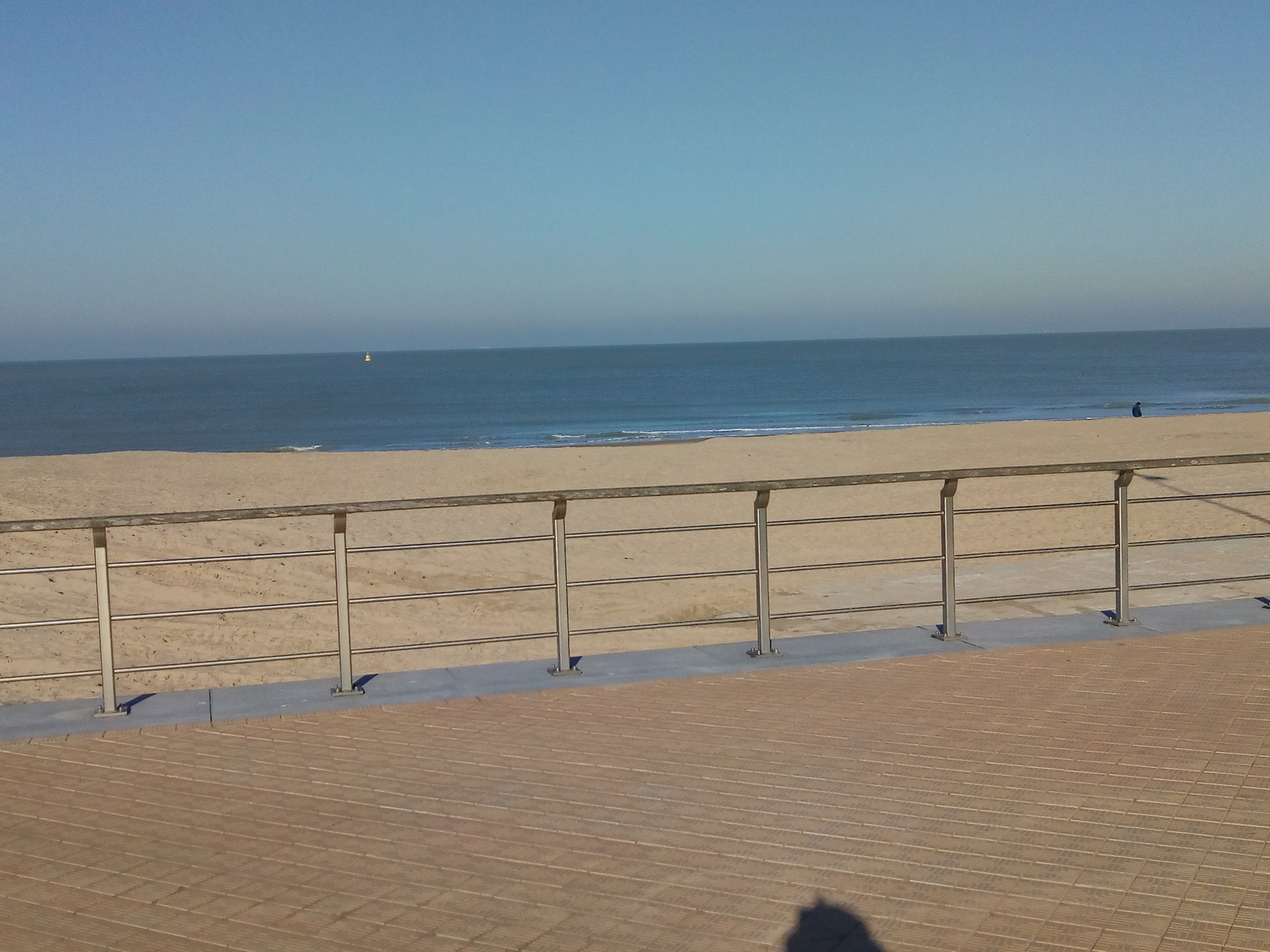 IMG_20200207_115110.jpg