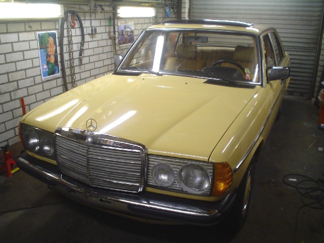 240D1981.jpg